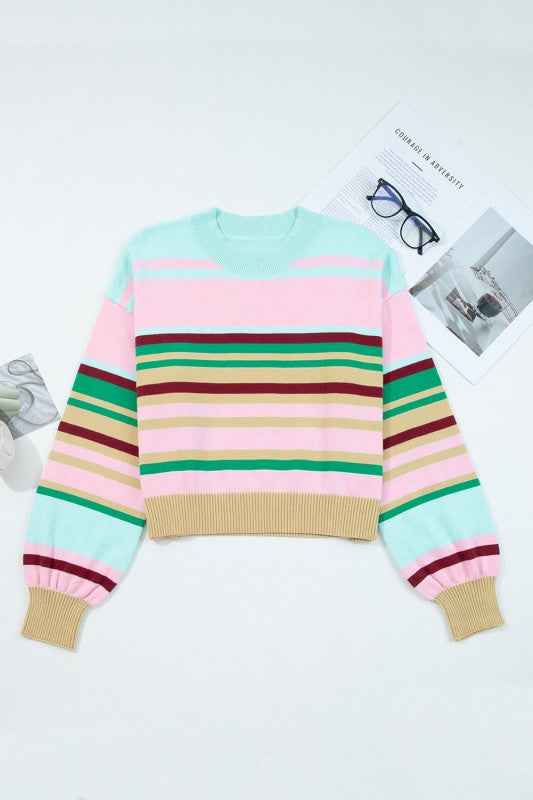 Stripe Ribbed Trim Crewneck Cropped Sweater