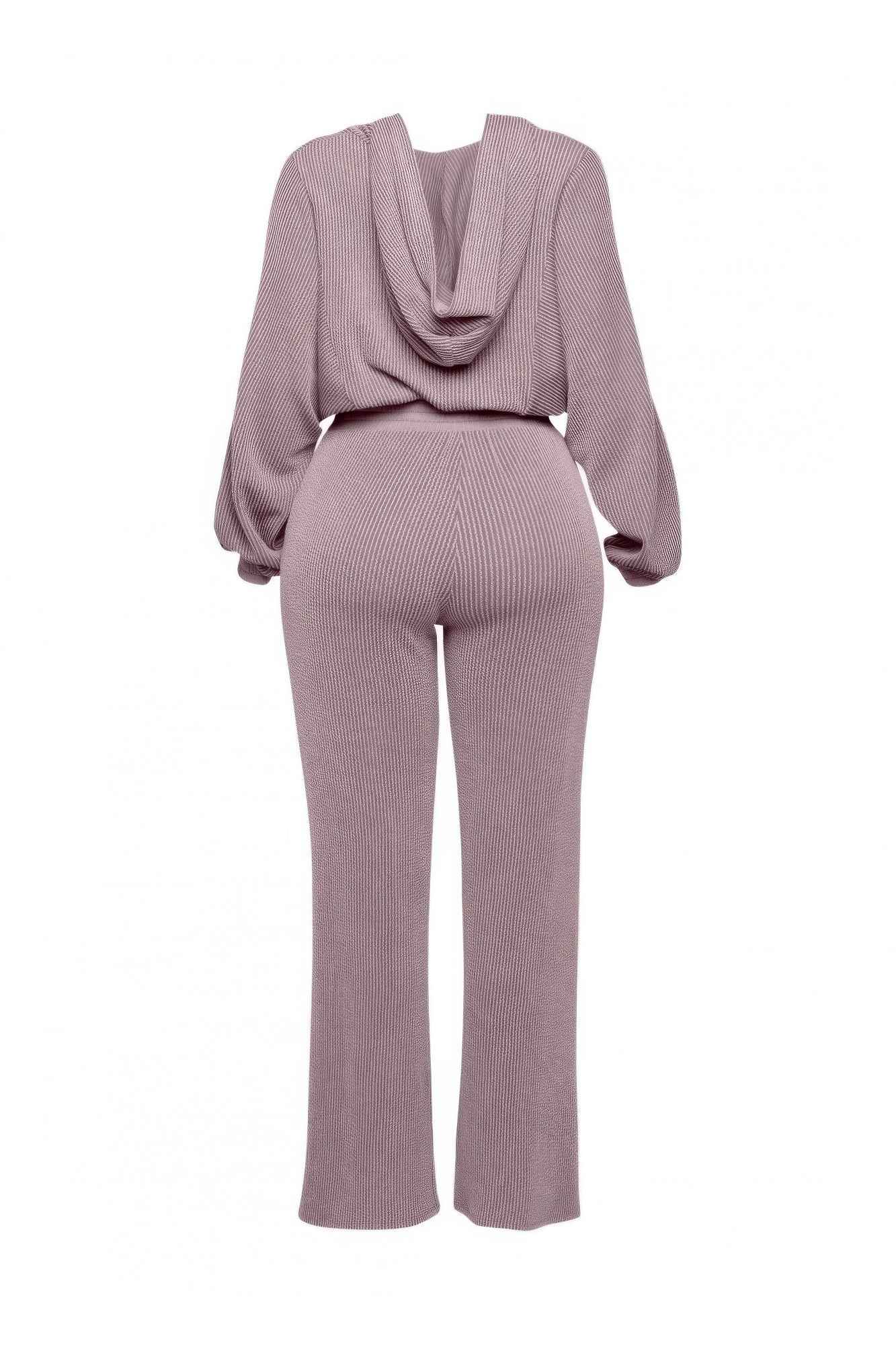 Zipper Closure Hoodie Jacket & Pants Set