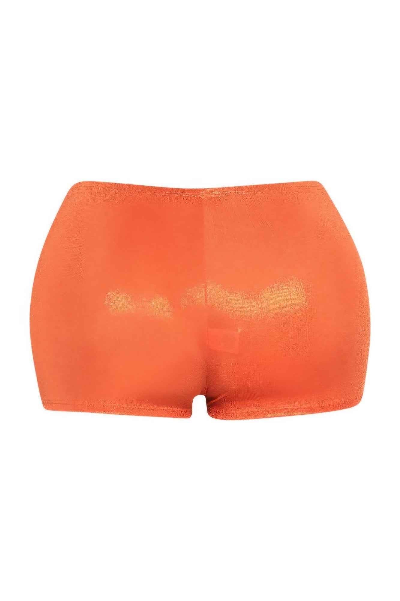 Shimmer High Waisted Shorts