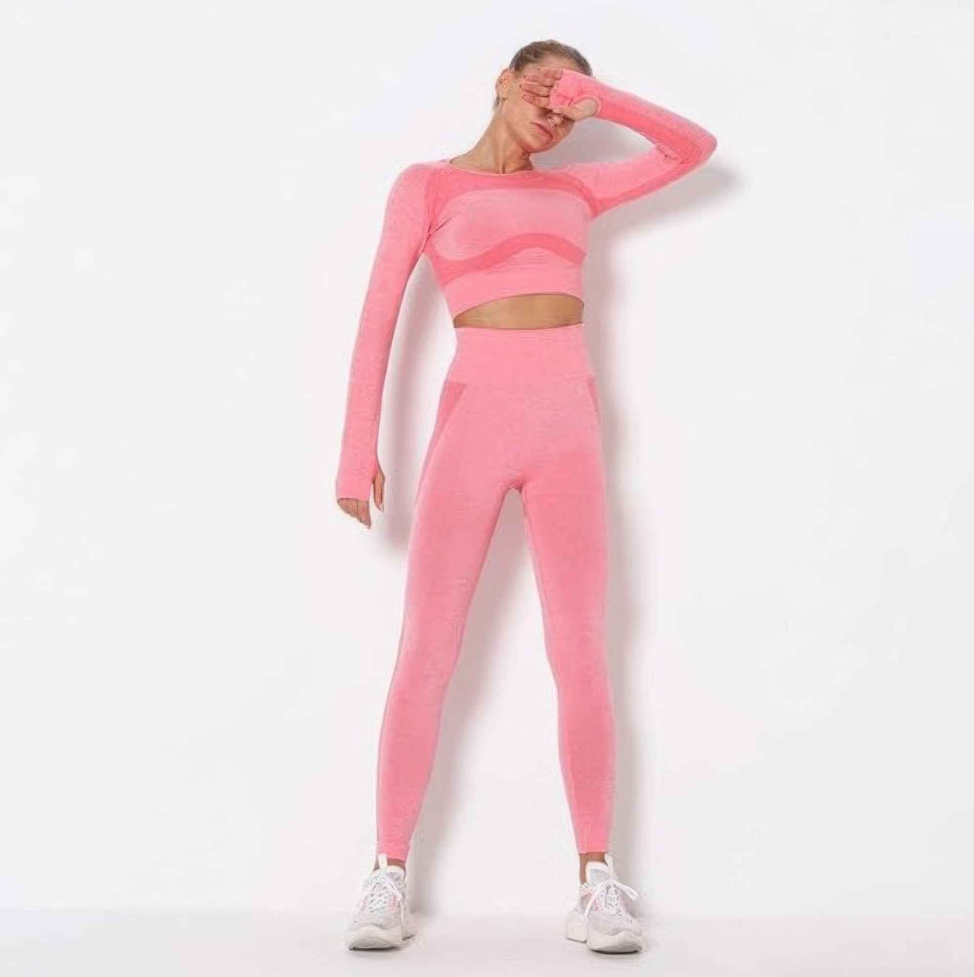 Seamless Long Sleeve Yoga Set
