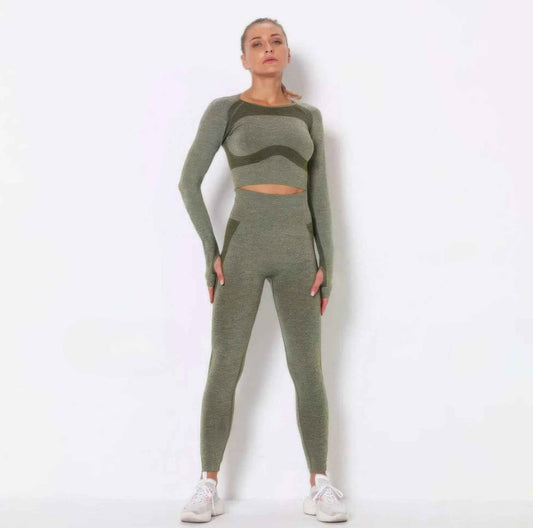 Seamless Long Sleeve Yoga Set