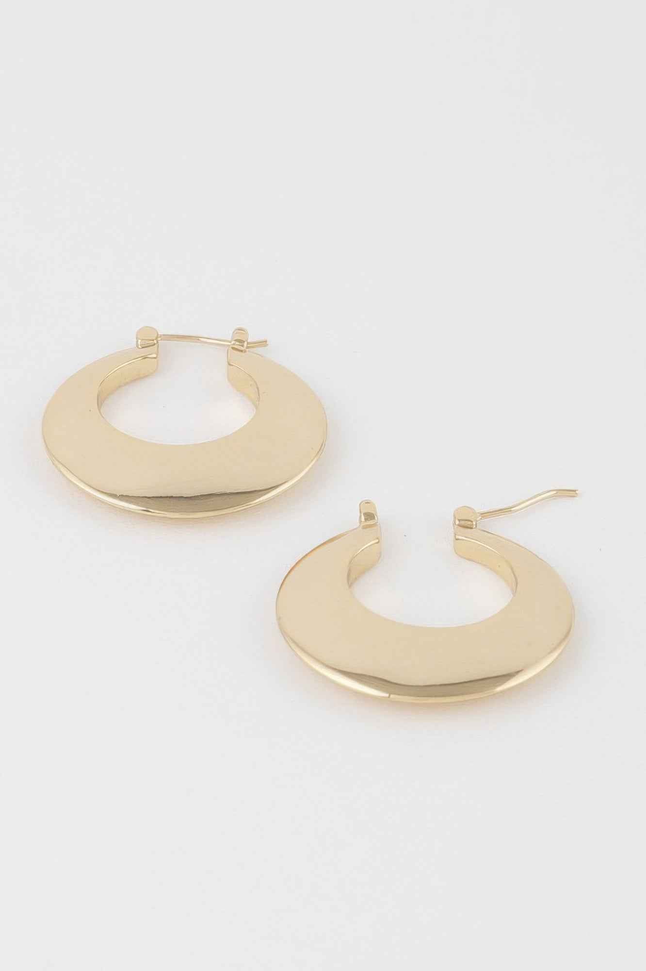 Classic Horseshoe Hoop Earrings